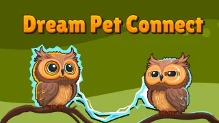 Dream Pet Connect browser game
