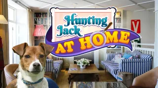 Hunting Jack - At Home browser game