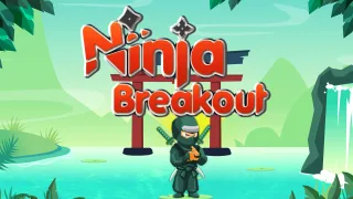Ninja Breakout browser game